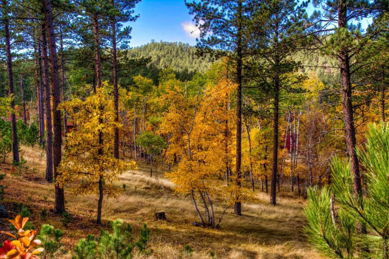 Yak Ridge Cabins And Farmstead By Mount Rushmore Villa Кийстоун Екстериор снимка